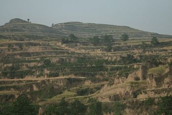 Only 10% of China is tillable land.  Terraces convert hills and even mountains into fields