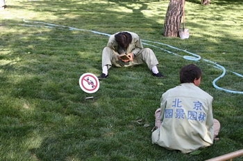 See the international sign for Do Not Walk On The Grass?