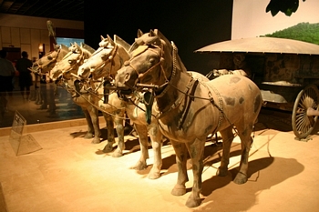 Officers rode in chariots