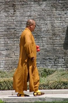A monk strolls through the grounds