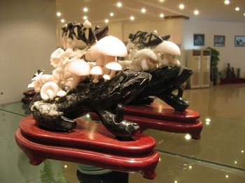 Cloudy white mushrooms on a black log - all one piece of jade