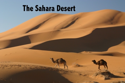 Sahara Desert at sunrise
