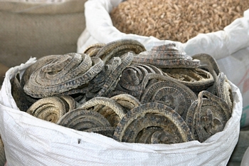 Dried snakes ground up in your tea is bound to help the aches and pains