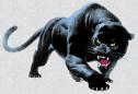 BI Panthers