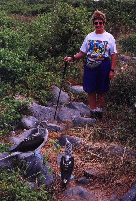 boobies block our path