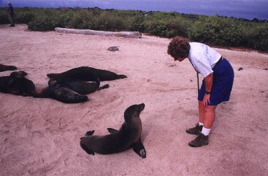 Fran talks to sea lion pup