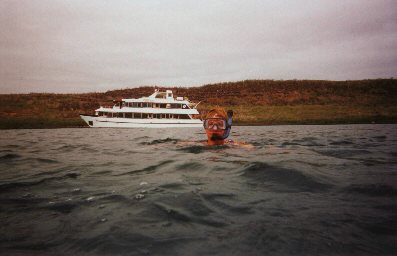 Mermaid in blue-footed booby shoes