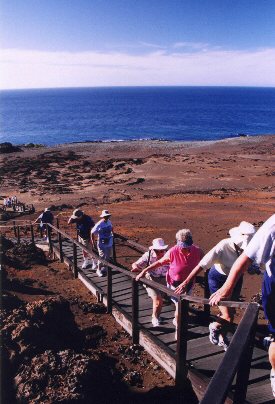 climbing steps