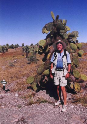 Bob cloaked by Opuntia cactus