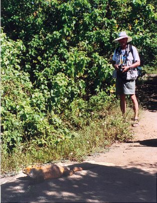 Bob with iguana