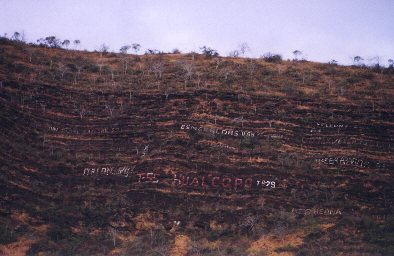 autographed cliffs