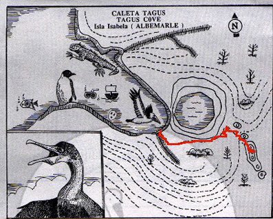 Tagus Cove on Isabela