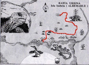 Urbina Bay on Isabel