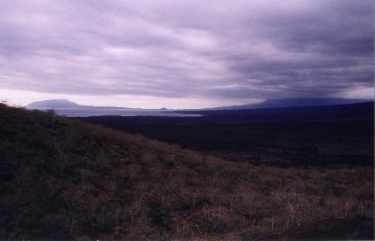 Darwin volcano