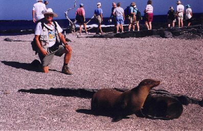 Bob with sea lion