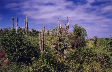 Darwin Research Center