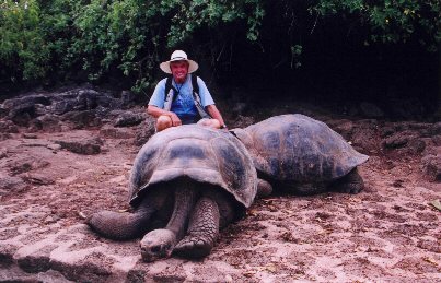 Strong legs for walking