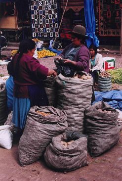 Selling potatoes