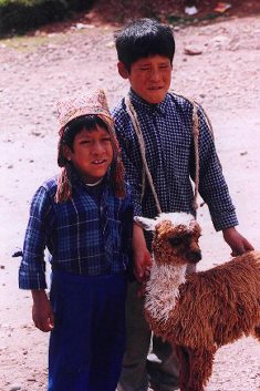 Inca boys with Llama